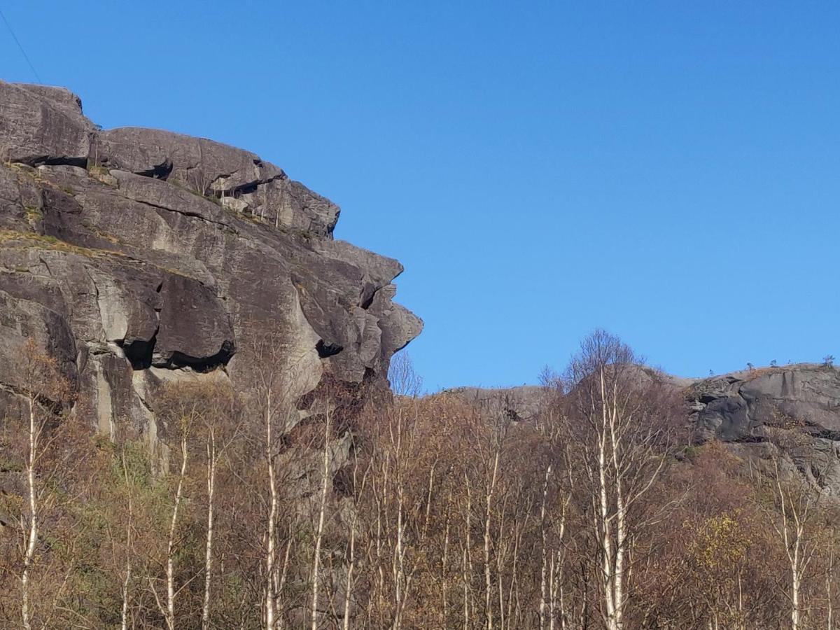 Vikedal Relax Center Hotell Exteriör bild